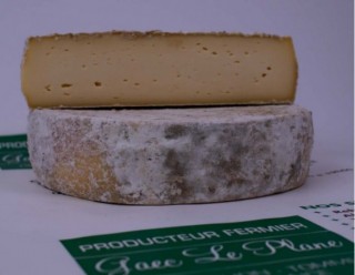 Tomme Fermière du Plane 2