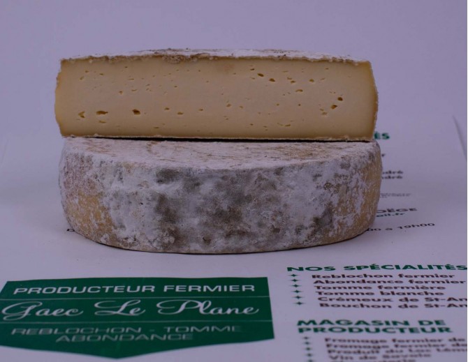 Tomme Fermière du Plane