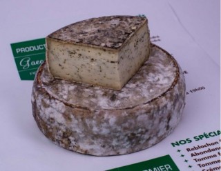 Tomme Aïl des ours