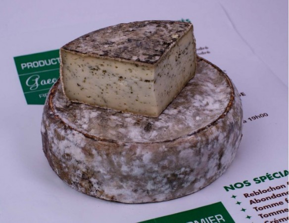 Tomme Aïl des ours