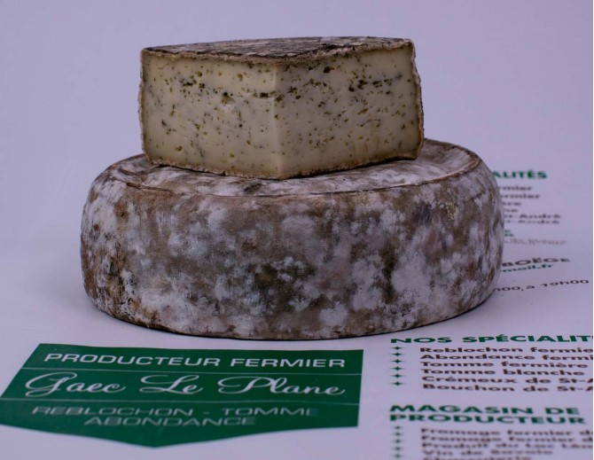 Tomme Aïl des ours