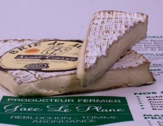 Brie de Meaux