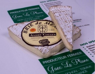 Brie de Meaux 2