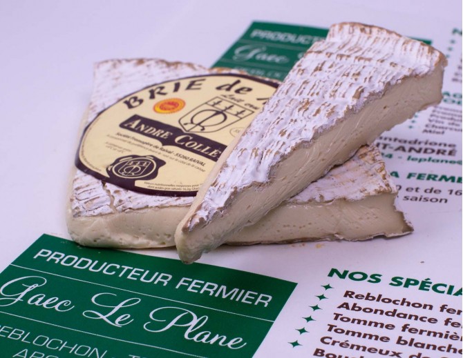 Brie de Meaux