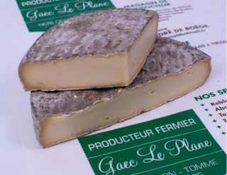 Saint Nectaire Fermier 2
