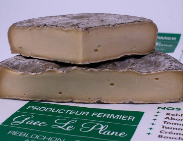 Saint Nectaire Fermier