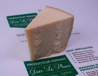 Parmesan 2