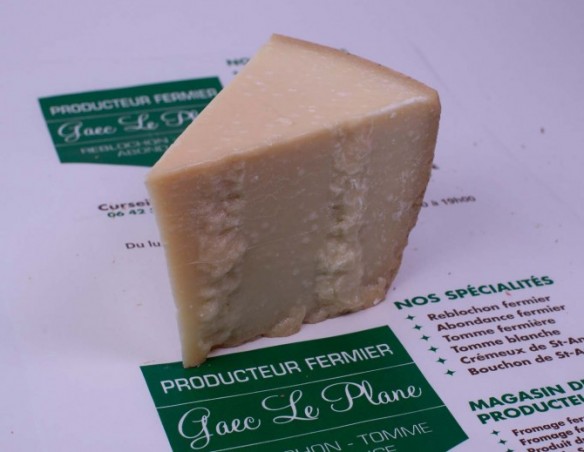 Parmesan