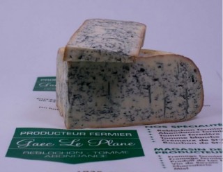 Bleu de Gex