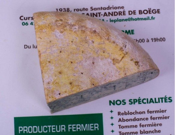 Bleu de Gex