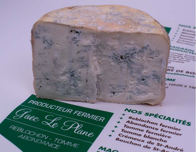 Bleu de Chèvre