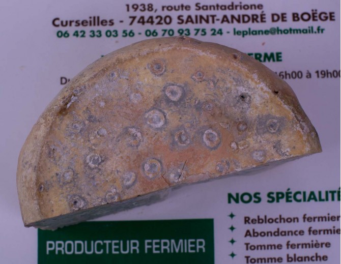 Bleu de Chèvre