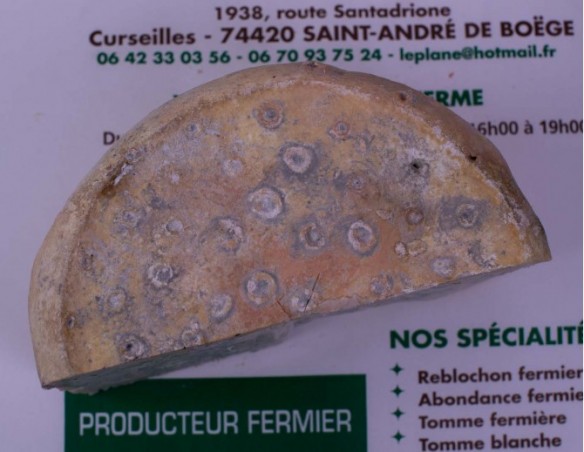 Bleu de Chèvre