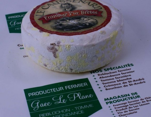 Tomme Brebis Caussenard