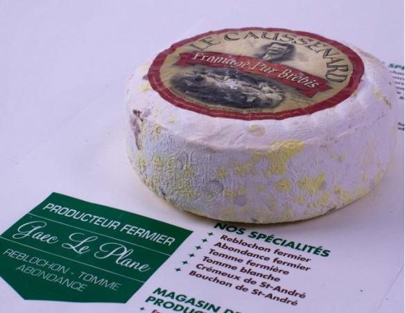 Tomme Brebis Caussenard