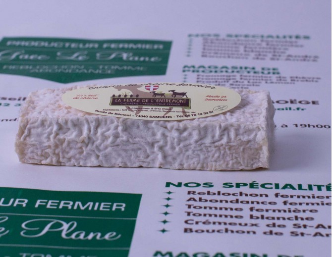 Brique de Chèvre Nature (lait cru fermier)